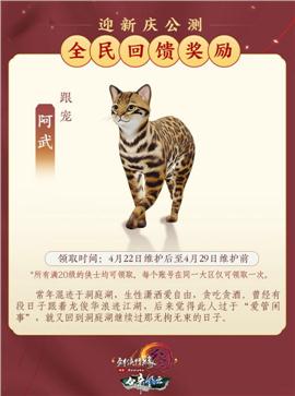 天龙八部私服 无极真气